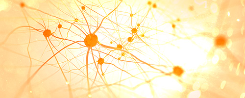 In der Neurologie In der Neurologie